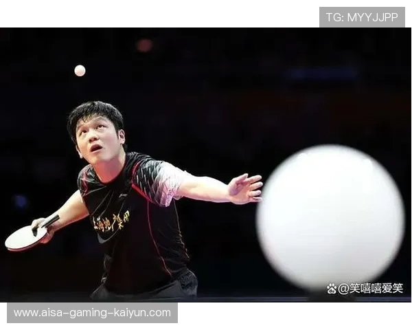 樊振东重回巅峰？教练一句话透露真相