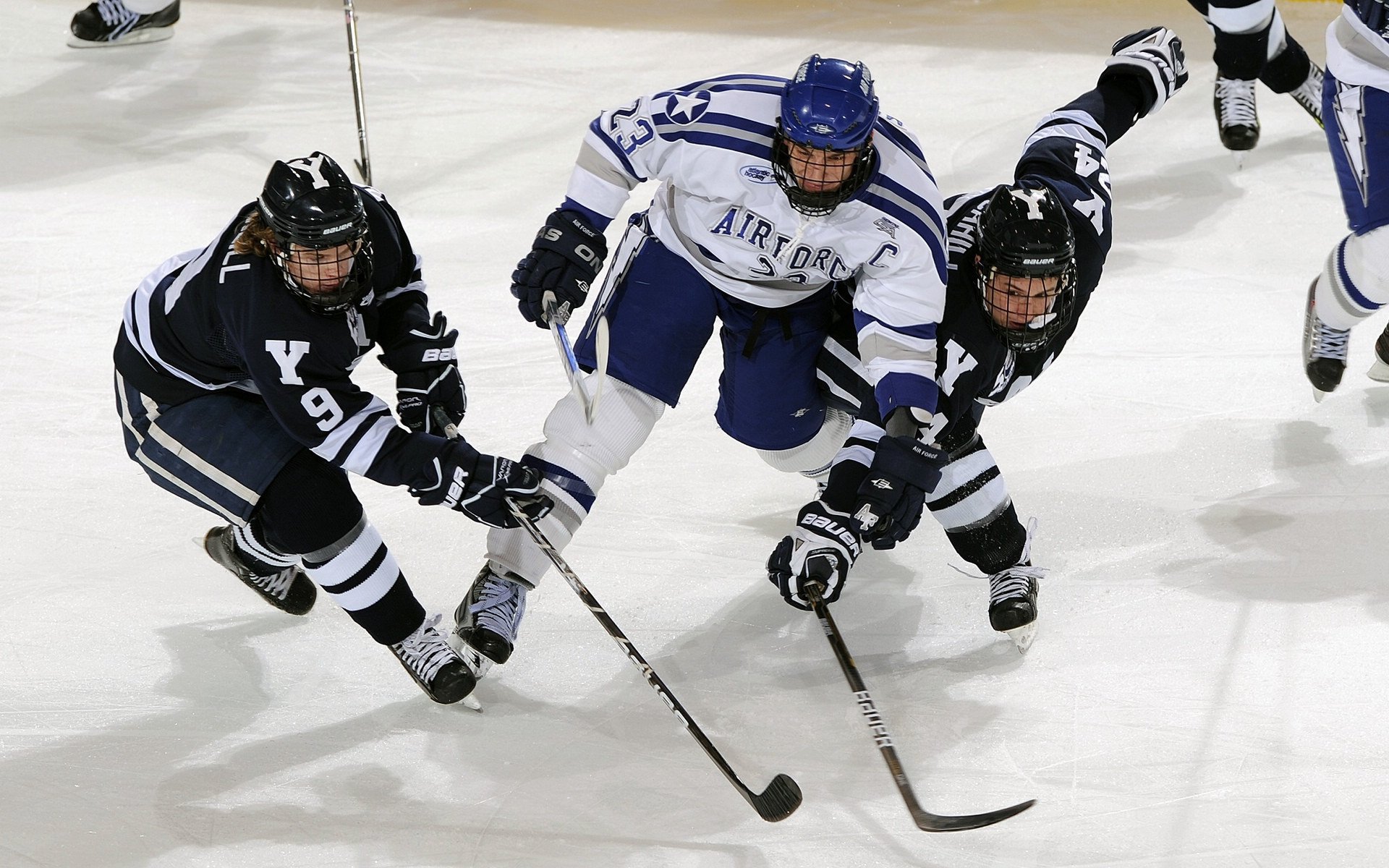 体育赛事观众规模统计报告
